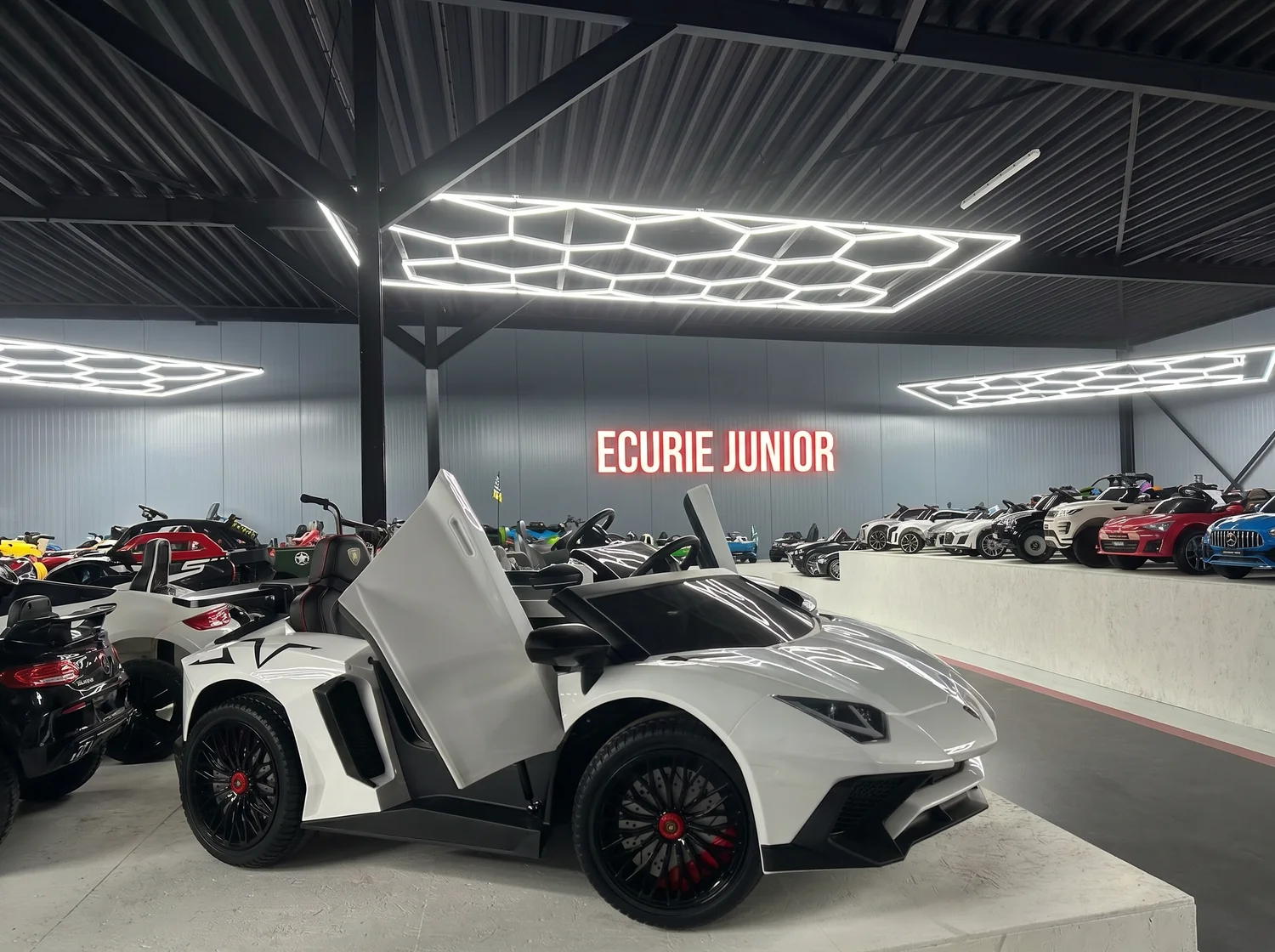 Showroom Junior Motors — la voiture qui marque